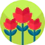 Rose icon 64x64
