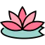 Lotus icon 64x64