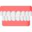 Dental 图标 64x64