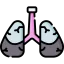 Lungs icon 64x64