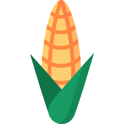 Corn icon