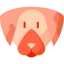 Dog アイコン 64x64