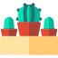 Cactus Symbol 64x64