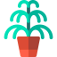 Kentia Symbol 64x64