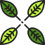 Leaves icon 64x64