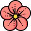 Flower ícone 64x64