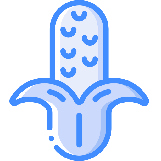 Corn icon