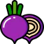 Beet icon 64x64