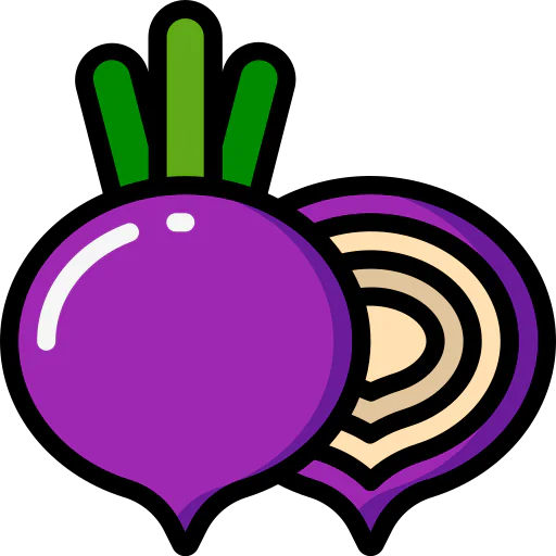 Beet icon
