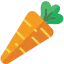 Carrot icon 64x64