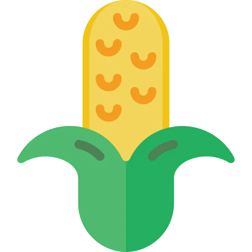 Corn icon