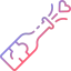 Champagne icon 64x64
