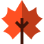 Maple leaf アイコン 64x64