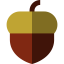 Acorn 图标 64x64