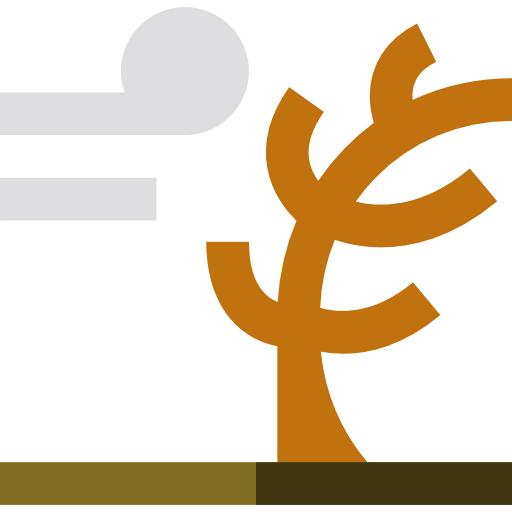 Windy biểu tượng