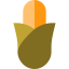 Corn icon 64x64