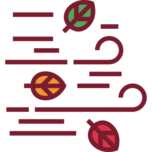 Wind icon