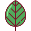 Leaf icon 64x64