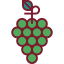 Grapes icon 64x64