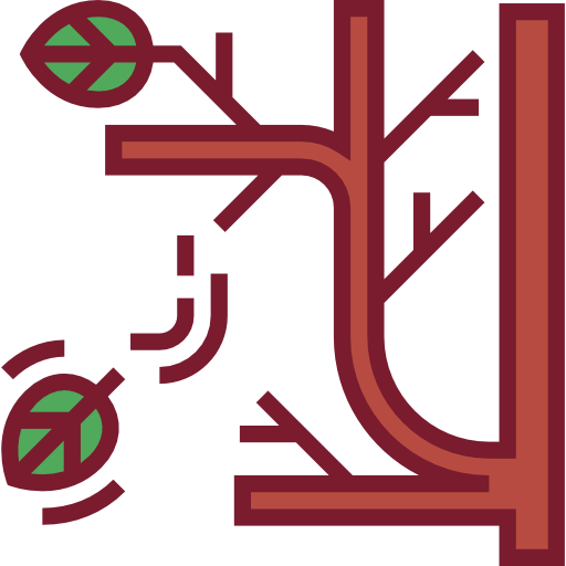 Tree branch 상