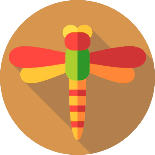 Dragonfly icon