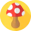 Mushroom icon 64x64