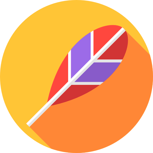 Feather icon