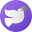 Pigeon icon 64x64