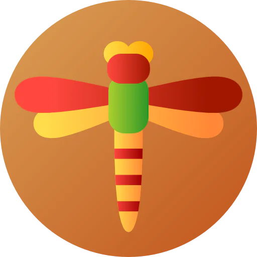 Dragonfly icon