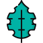 Leaf アイコン 64x64