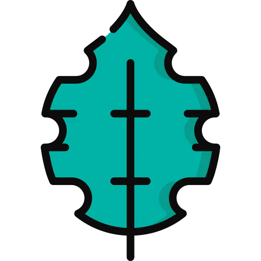 Leaf icon
