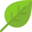 Leaf icon 64x64
