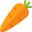 Carrot icon 64x64