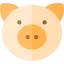 Pig icon 64x64