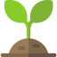 Sprout icon 64x64