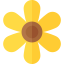 Sunflower icon 64x64