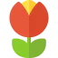 Tulip icon 64x64