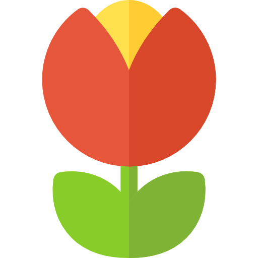 Tulip Ikona