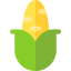 Corn icon 64x64