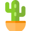 Cactus icon 64x64