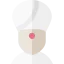 Fakir icon 64x64