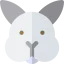 Rabbit icon 64x64