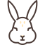 Rabbit Ikona 64x64