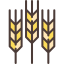 Wheat Ikona 64x64