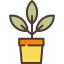 Plant Ikona 64x64