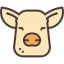Pig Ikona 64x64