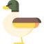 Duck 상 64x64
