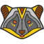 Racoon 图标 64x64