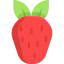 Berry ícono 64x64
