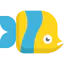 Fish ícono 64x64